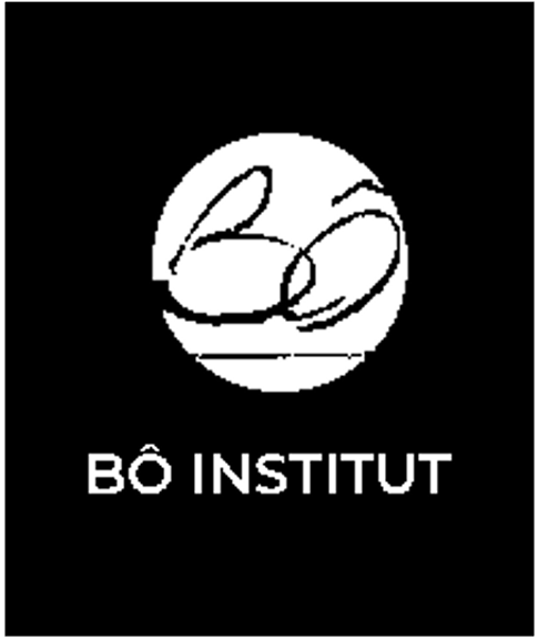 BO INSTITUT